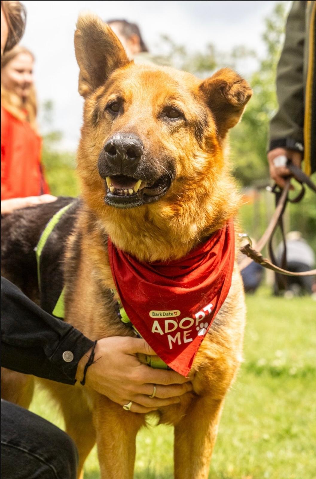 APOLLO